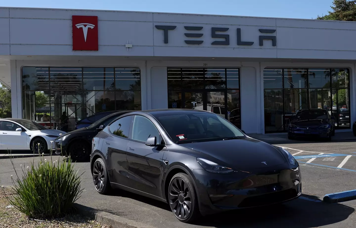 Are you ready to take the plunge to electric vehicles? (Justin Sullivan/Getty Images)