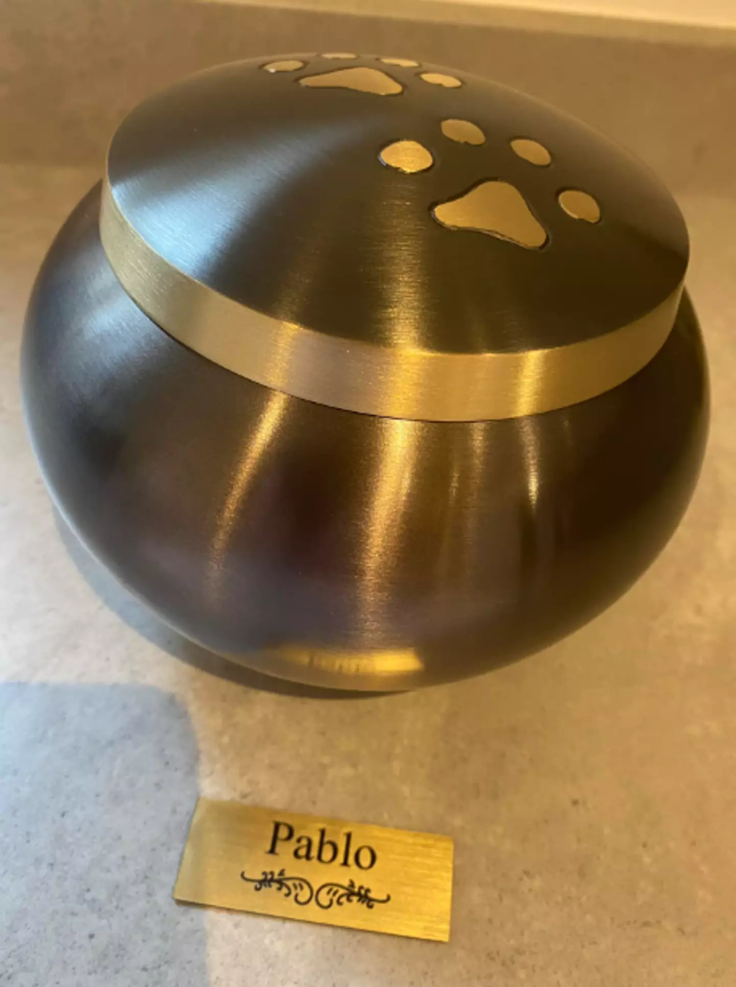 The family returned home and instead of collecting their beloved pup, had to pick up his ashes.