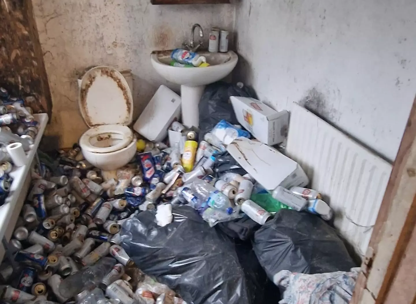 Fortunately the house was able to be cleared of the cans in a day, though the new owners are recommended to completely renovate the place.
