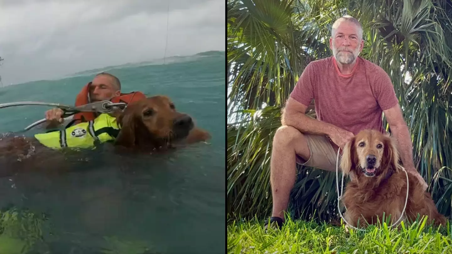 Sailor who gave chilling message to dog as they sank faces 'huge challenge' following major storm