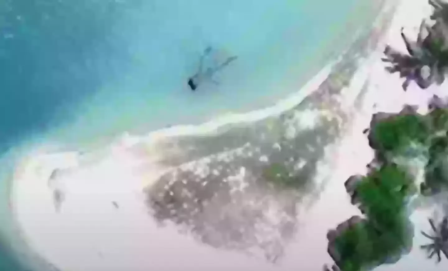 They claim that the debris is off the coast of Nikumaroro island (Taraia Object)