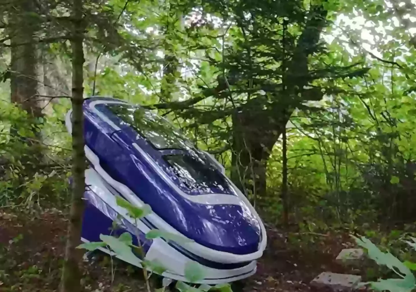 The pod was used for the first time last year (The Last Resort/Exit International)