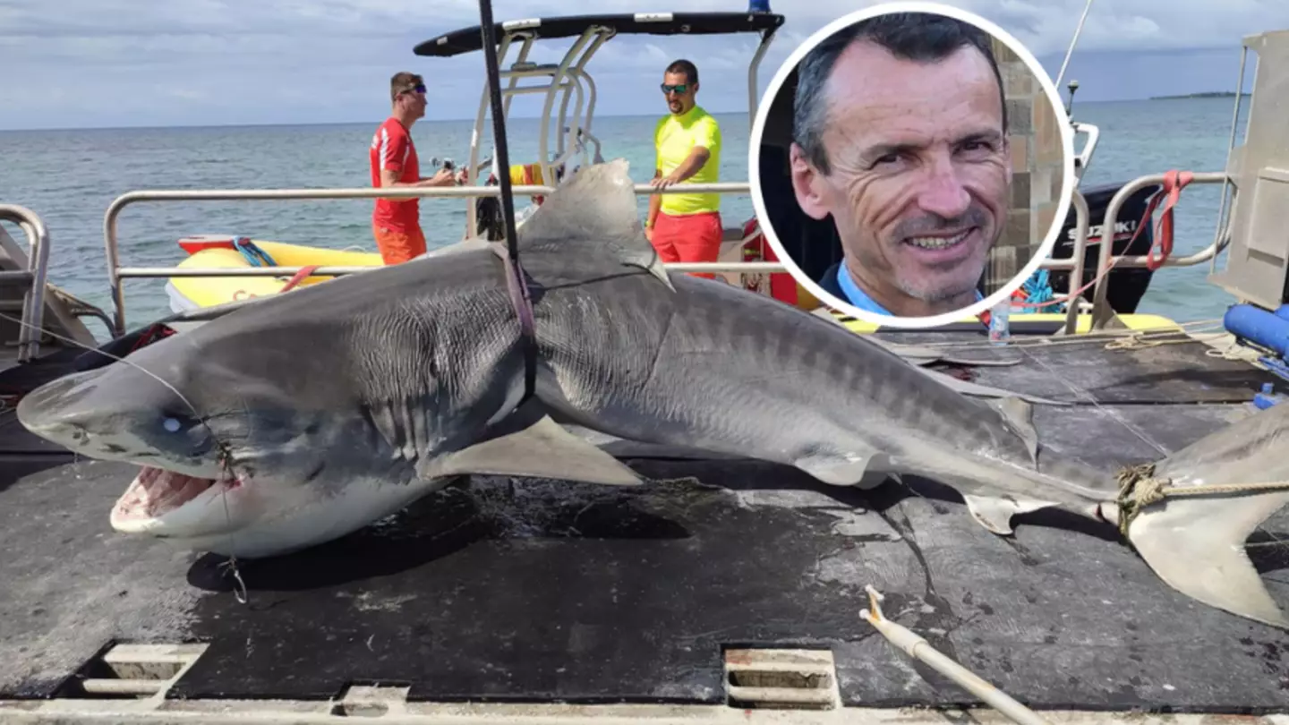 Humungous shark captured after dad was mauled to death in front of horrified onlookers