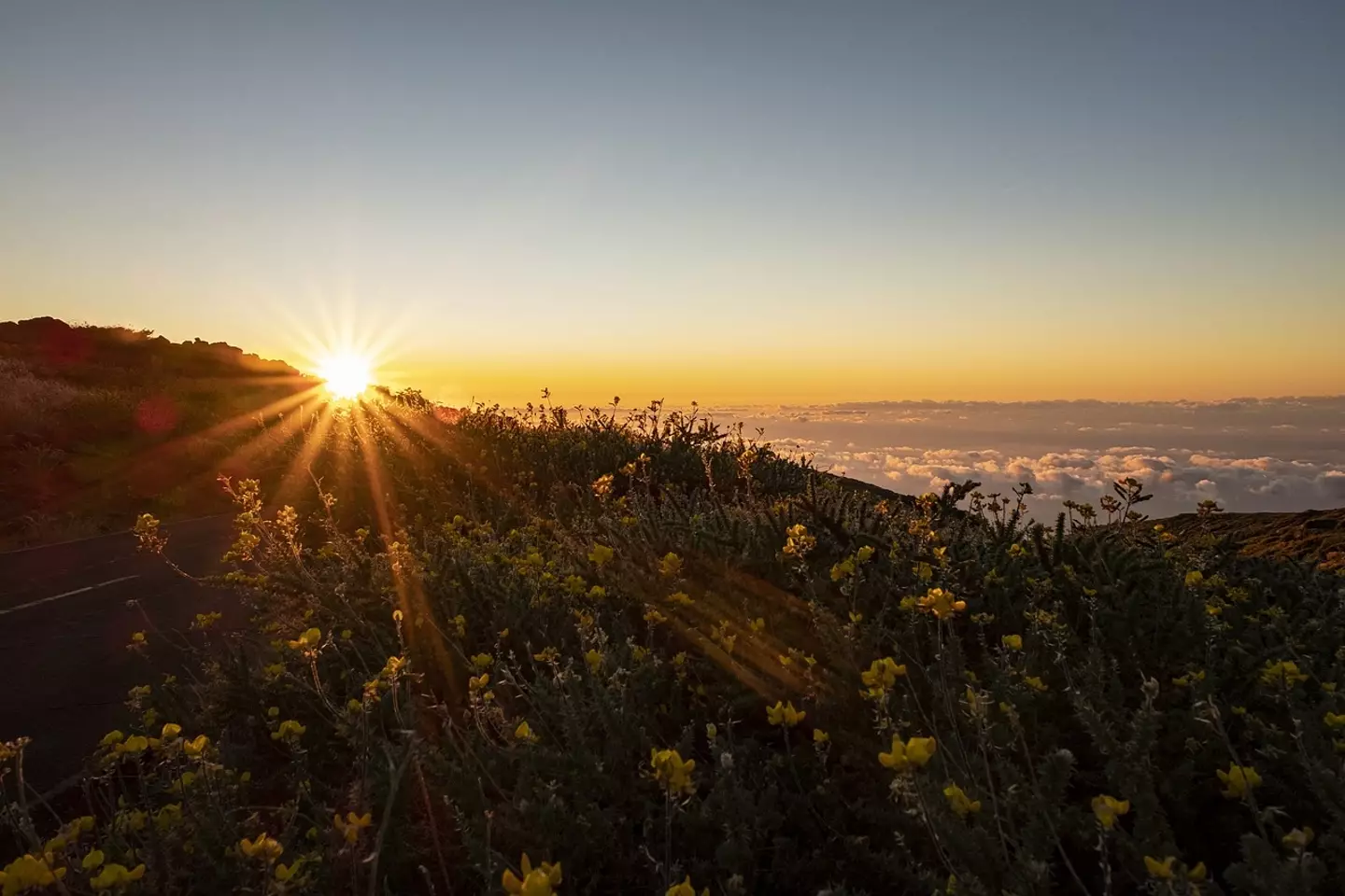 La Palma in the Canary Islands has stunning views.