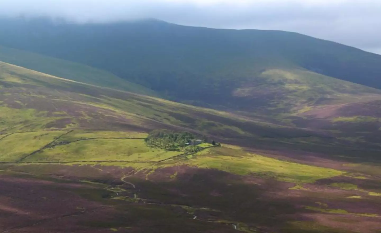 You see that grey slither in the centre? That's the house.