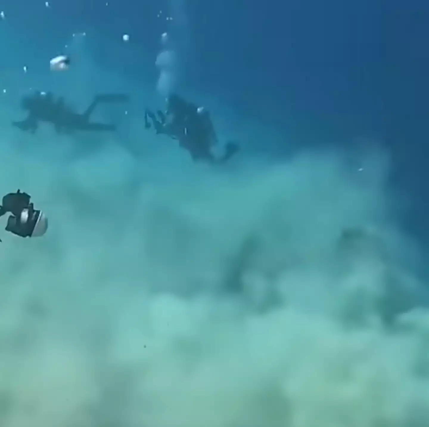 The terrifying footage has left social media users open mouthed (YouTube/10 News First/Bruce Diving)