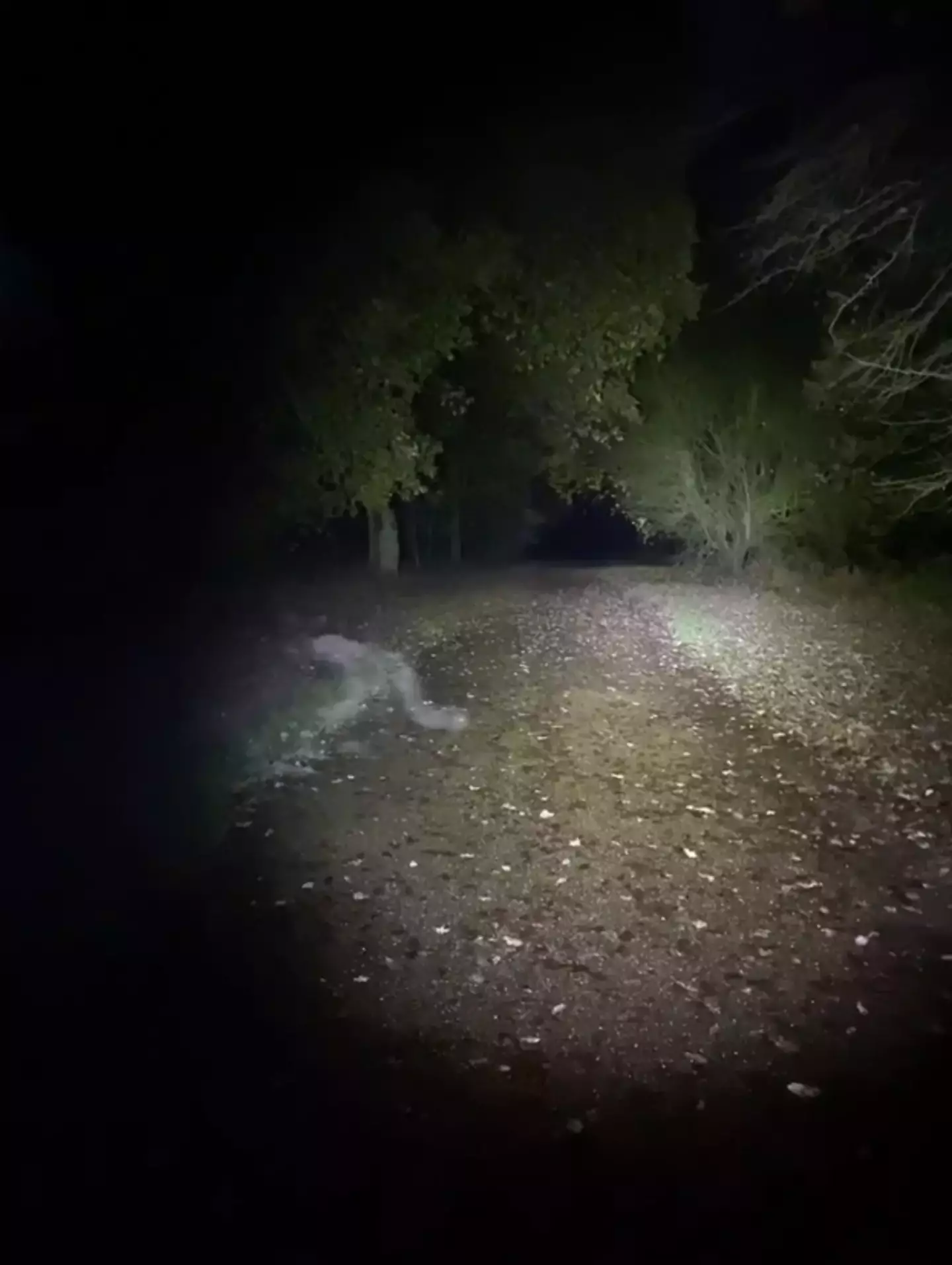 The ghostly figure was caught on video.