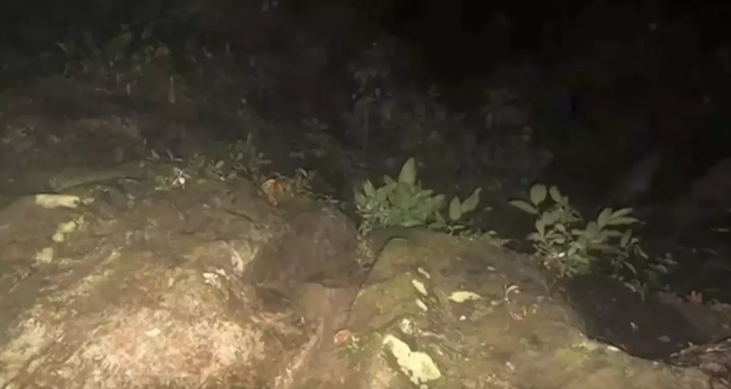 A photo taken on the camera at night while using the flash (TVN2)