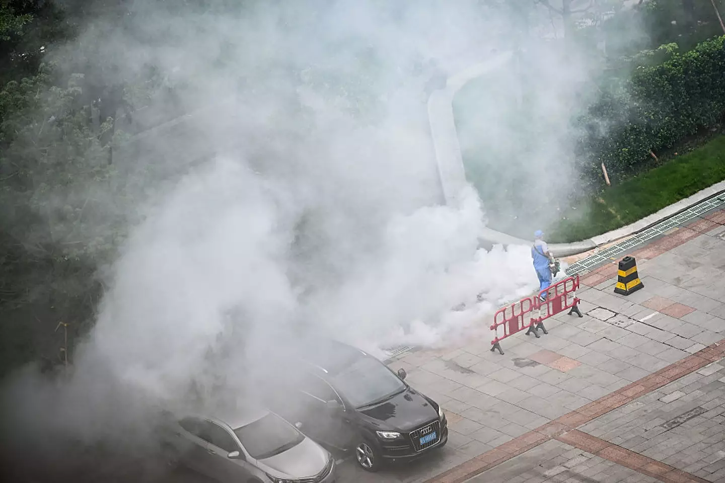 Chikungunya has been reported in 7,000 cases in China (VCG/VCG via Getty Images)