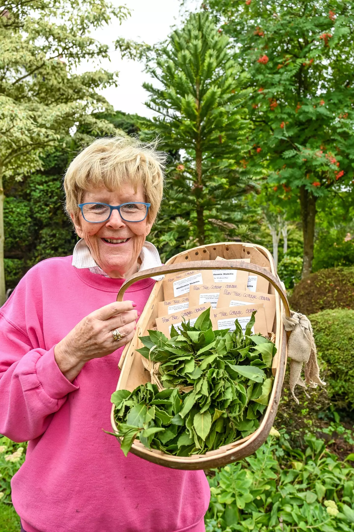 The elderly couple have a haul of seeds worth as much as £5,000, though they're planning to sell them for less than that (SWNS)