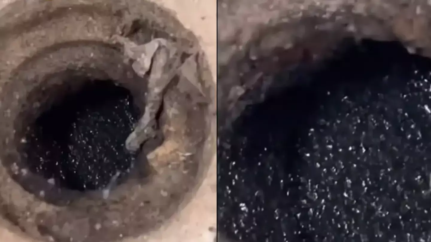 Brits warned to pour boiling water down drains immediately if they see these strange creatures