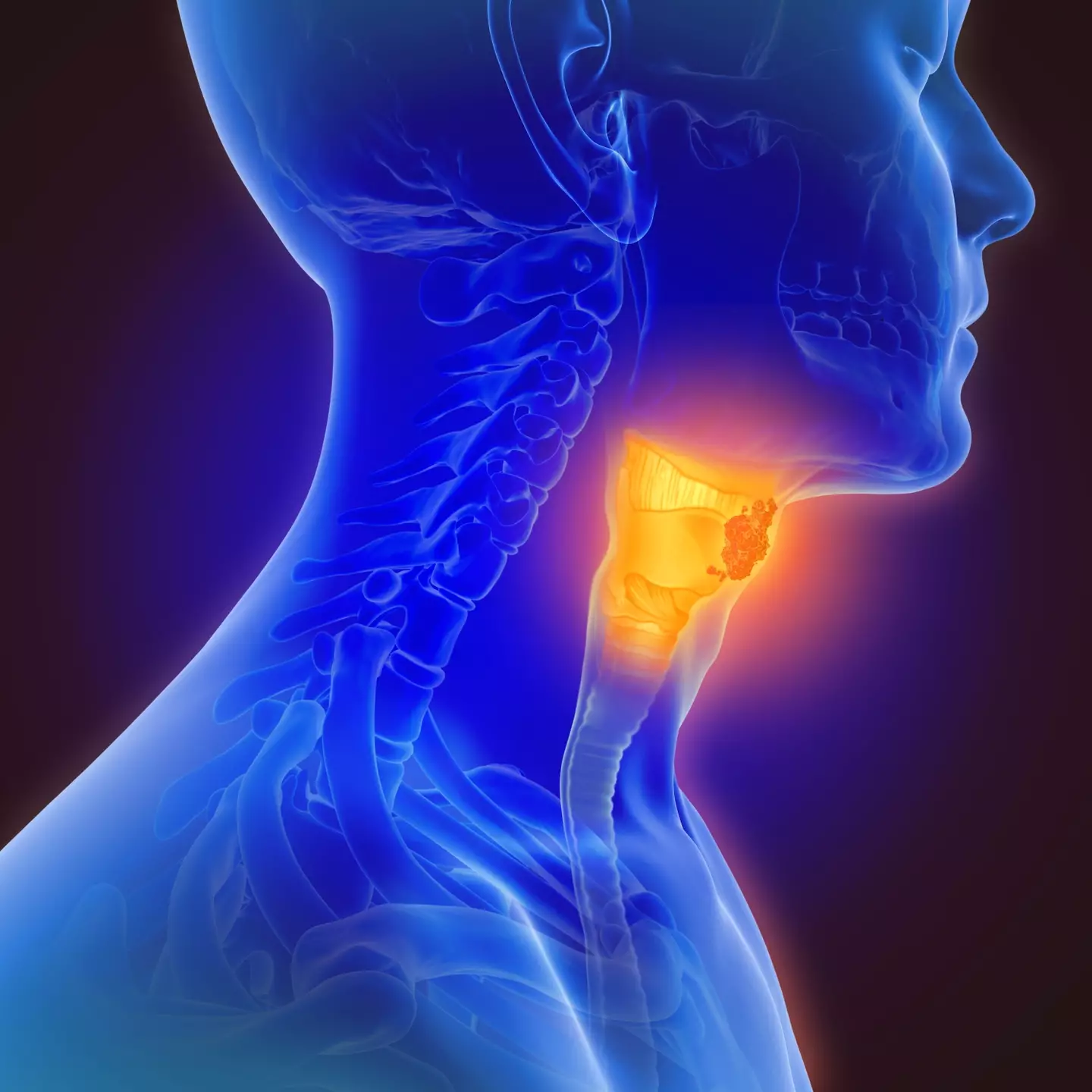 Oral sex can lead to throat cancer, the doctor warned.