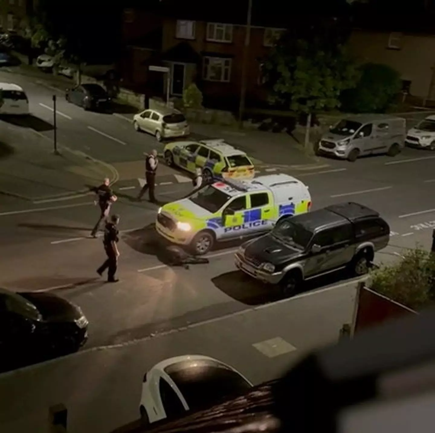 The animal is back on the farm and recovering, while the officer driving the car is no longer on frontline duties. (SWNS)