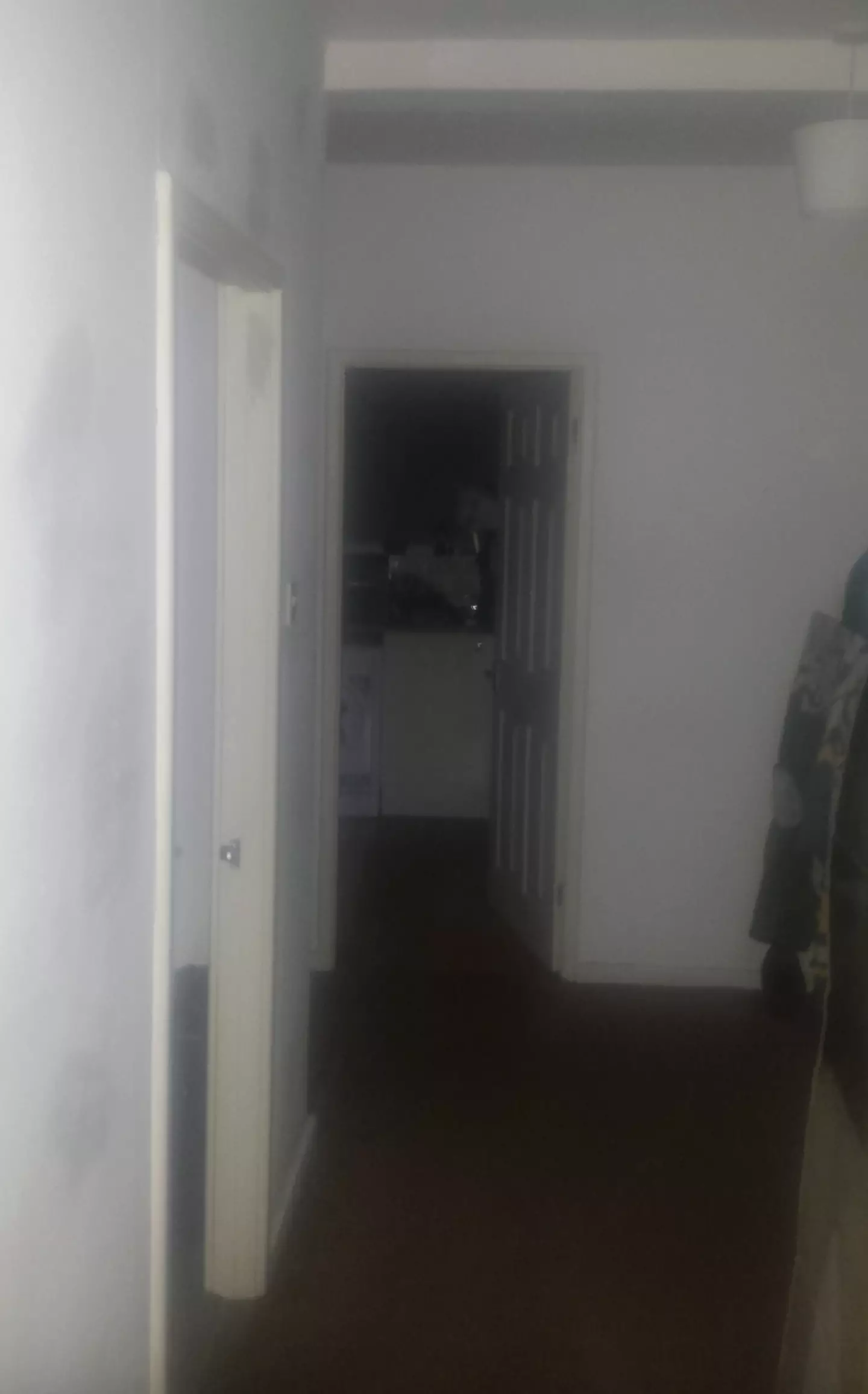 Do you see it? (Reddit)