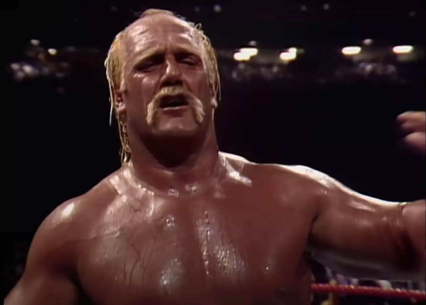 Hulk Hogan is one of the most recognisable wrestlers in the world.