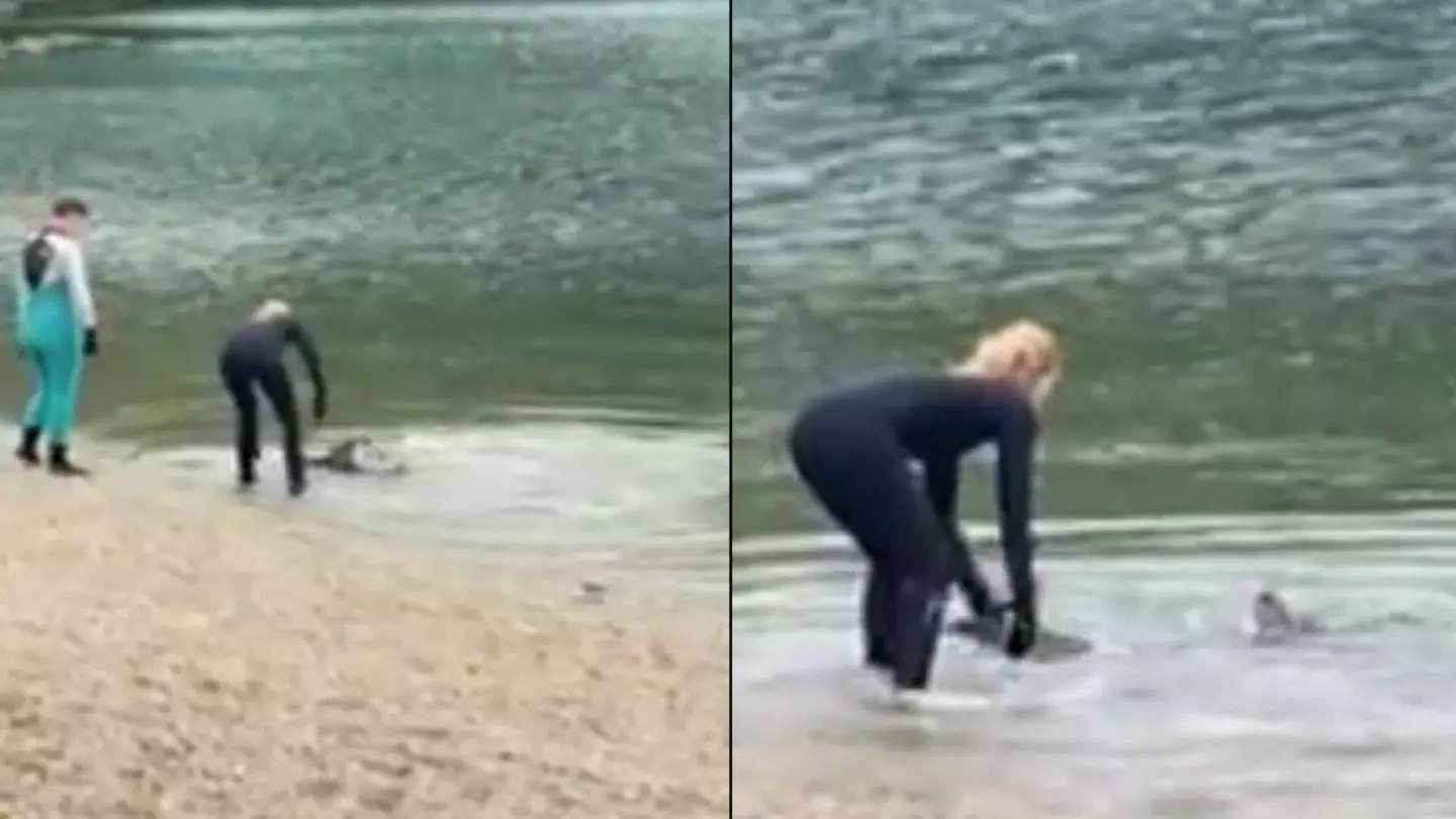 Locals issued warning over fears of 'disorientated' shark swimming in UK river
