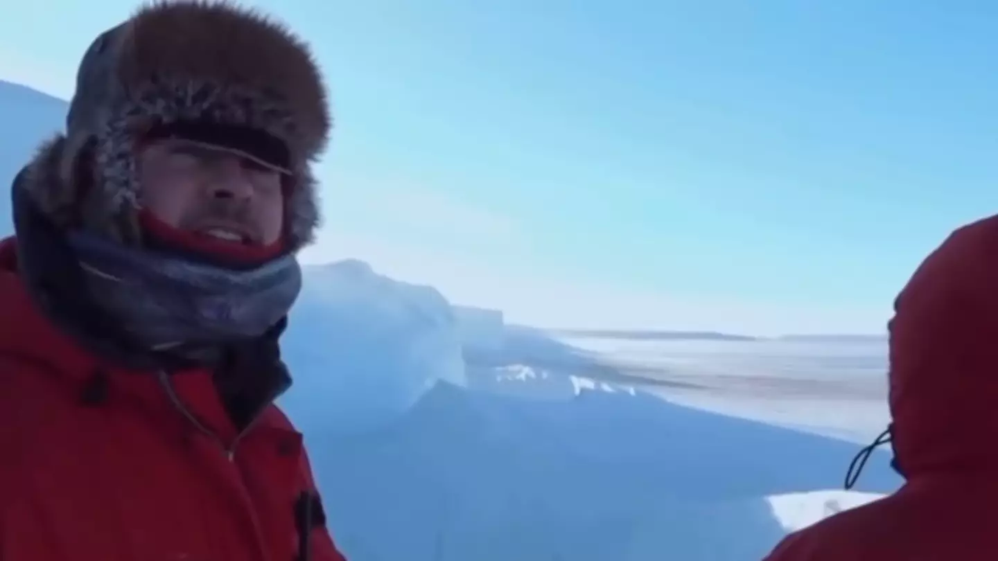 BBC film crew broke their strict ‘no interference’ rule to save penguins in heartbreaking situation