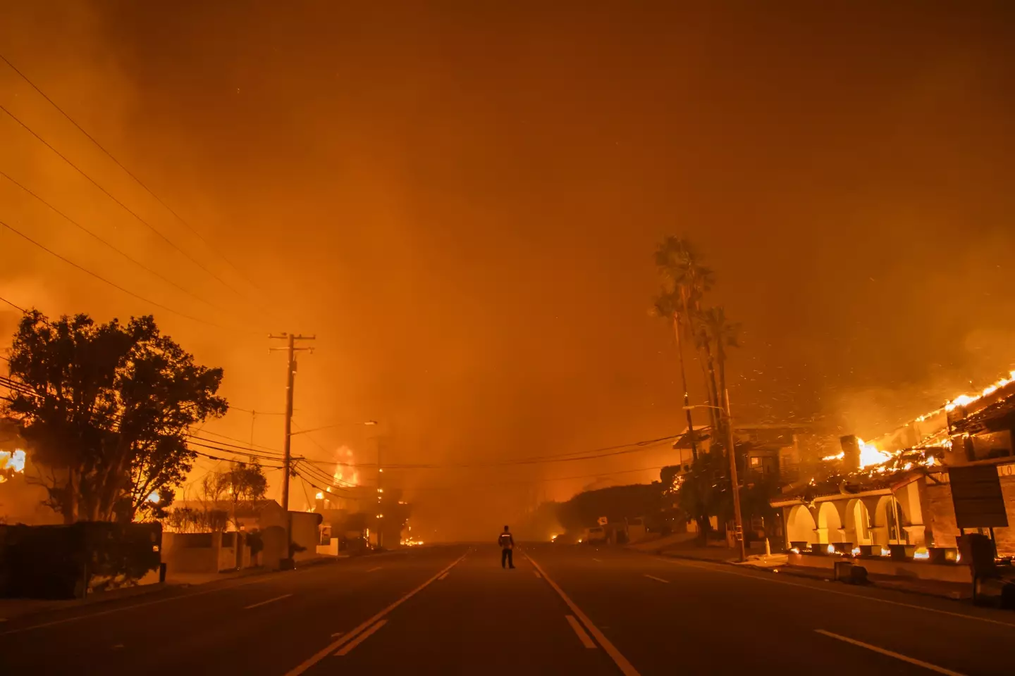 There are several wildfires blazing around Los Angeles (Apu Gomes/Getty Images)