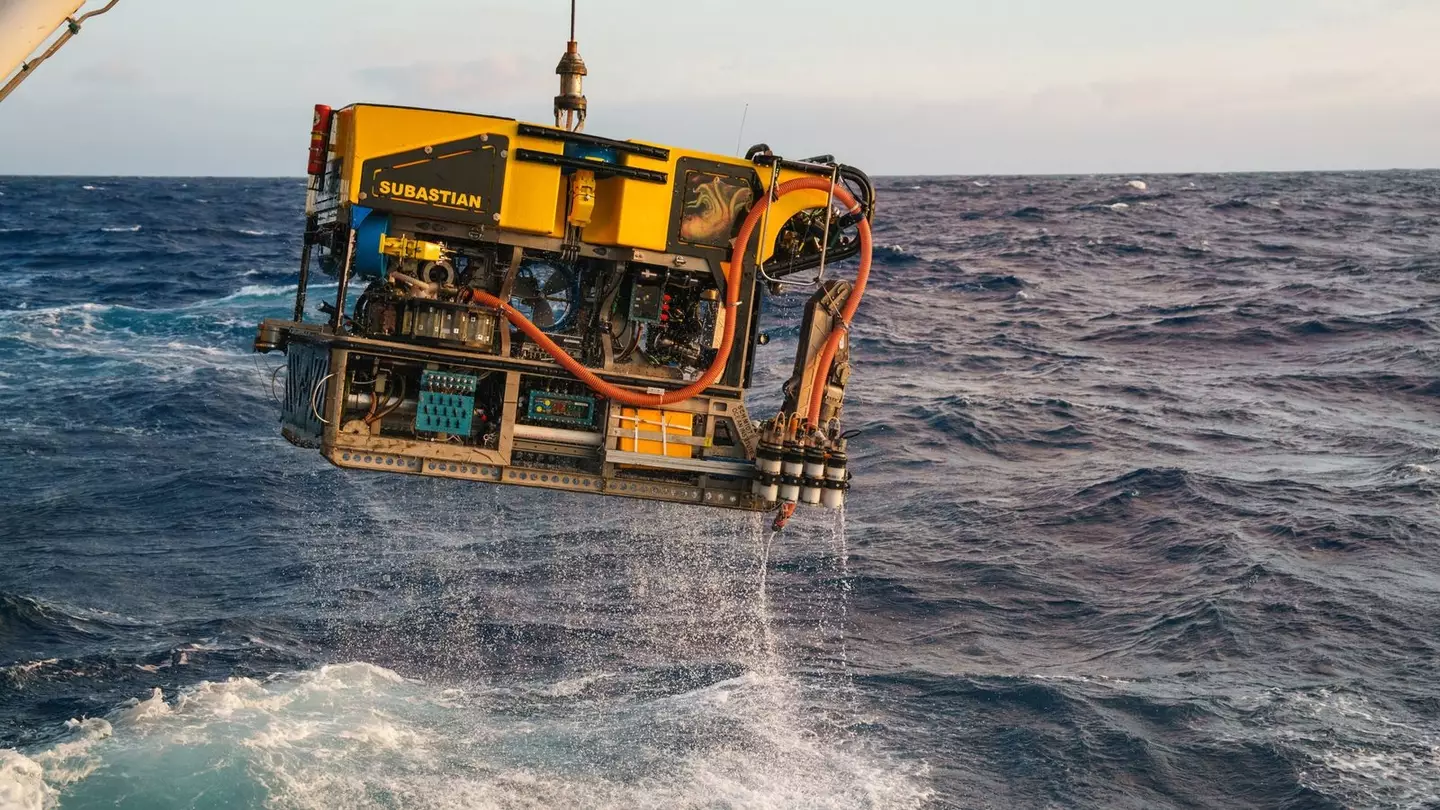 The discovery of the colossal squid was made by crew on board Schmidt Ocean Institute’s research vessel Falkor (too) (ROV SuBastian/Schmidt Ocean Institute)