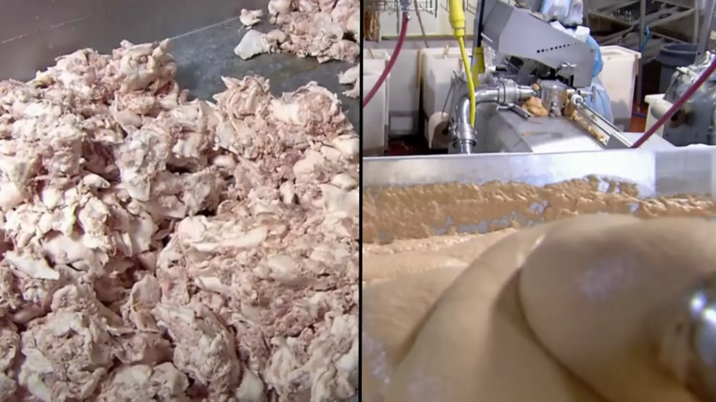 ‘Disgusting’ video exposing how hot dogs are actually made is making people want a hot dog