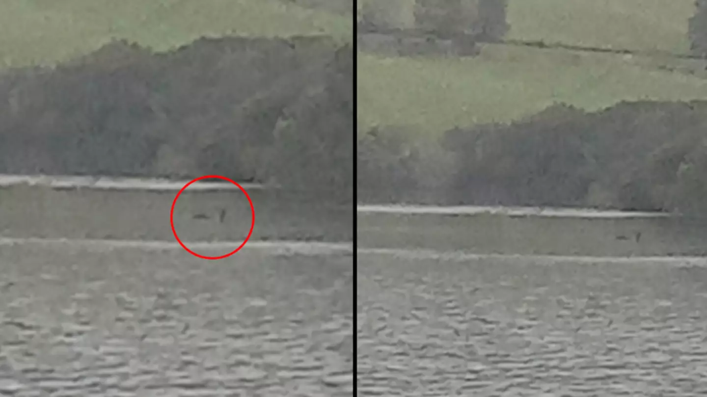 Man captures 'clearest evidence yet' of the Loch Ness Monster