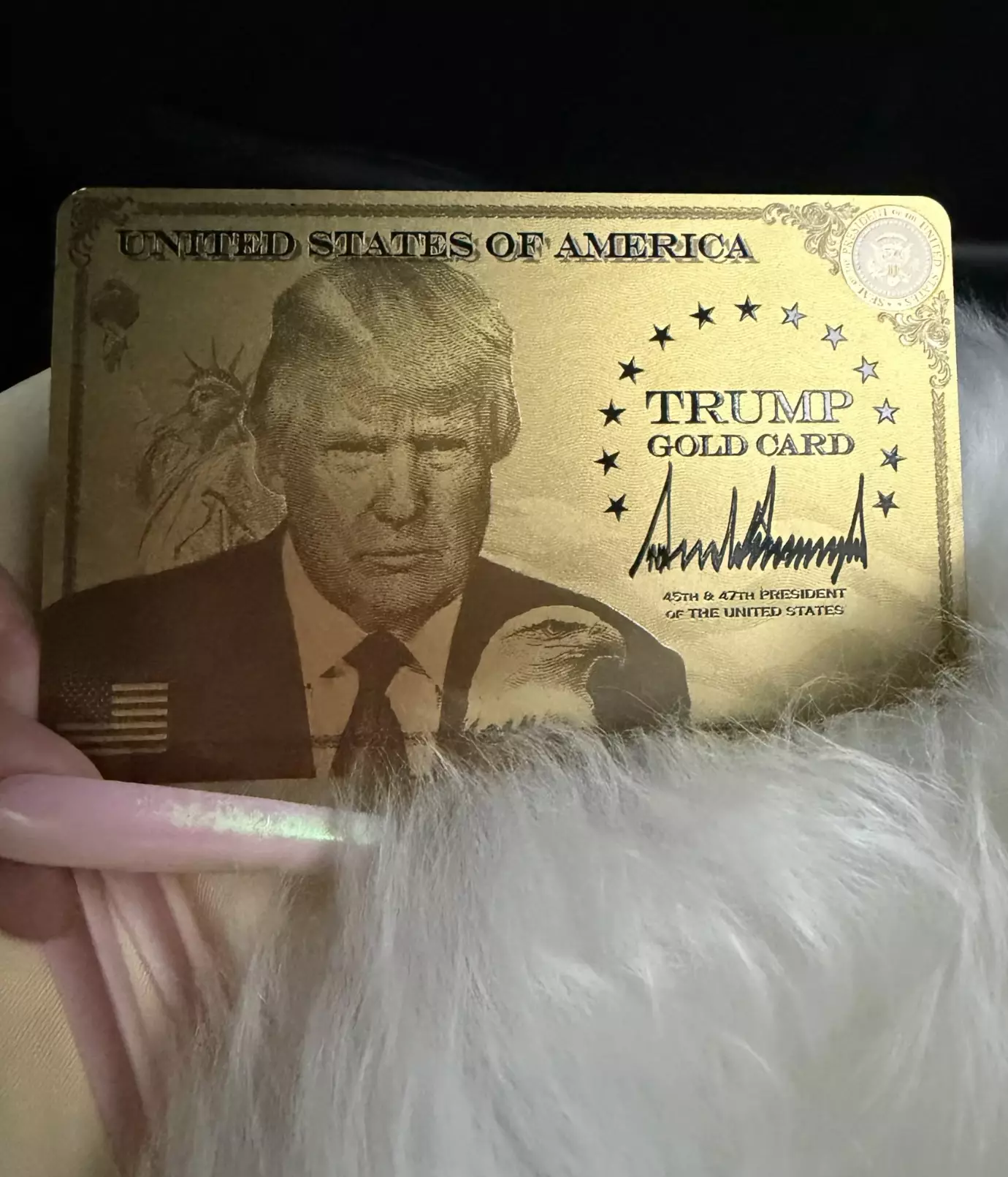 The artist was happy to share her capture of Trump's gold card (X/Nicki Minaj)