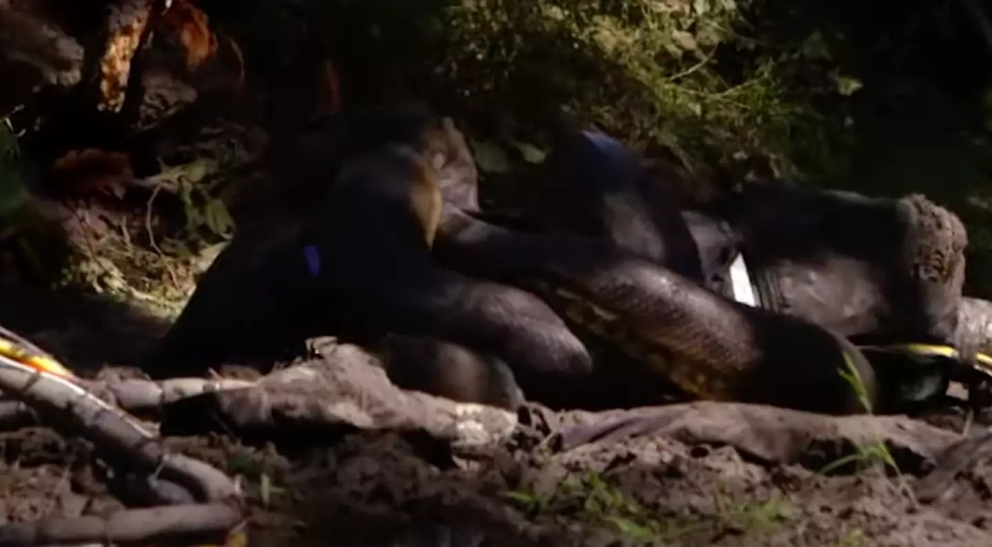 He tapped out, despite trying to push on with the stunt. (Discovery Channel)