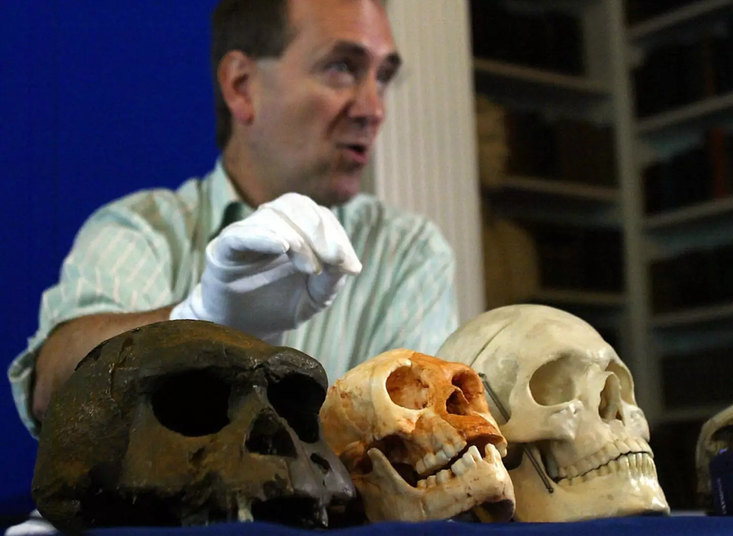 The skull in the middle which was found at a cave site belonged to an adult who was barley a metre tall (JIM WATSON/AFP via Getty Images)
