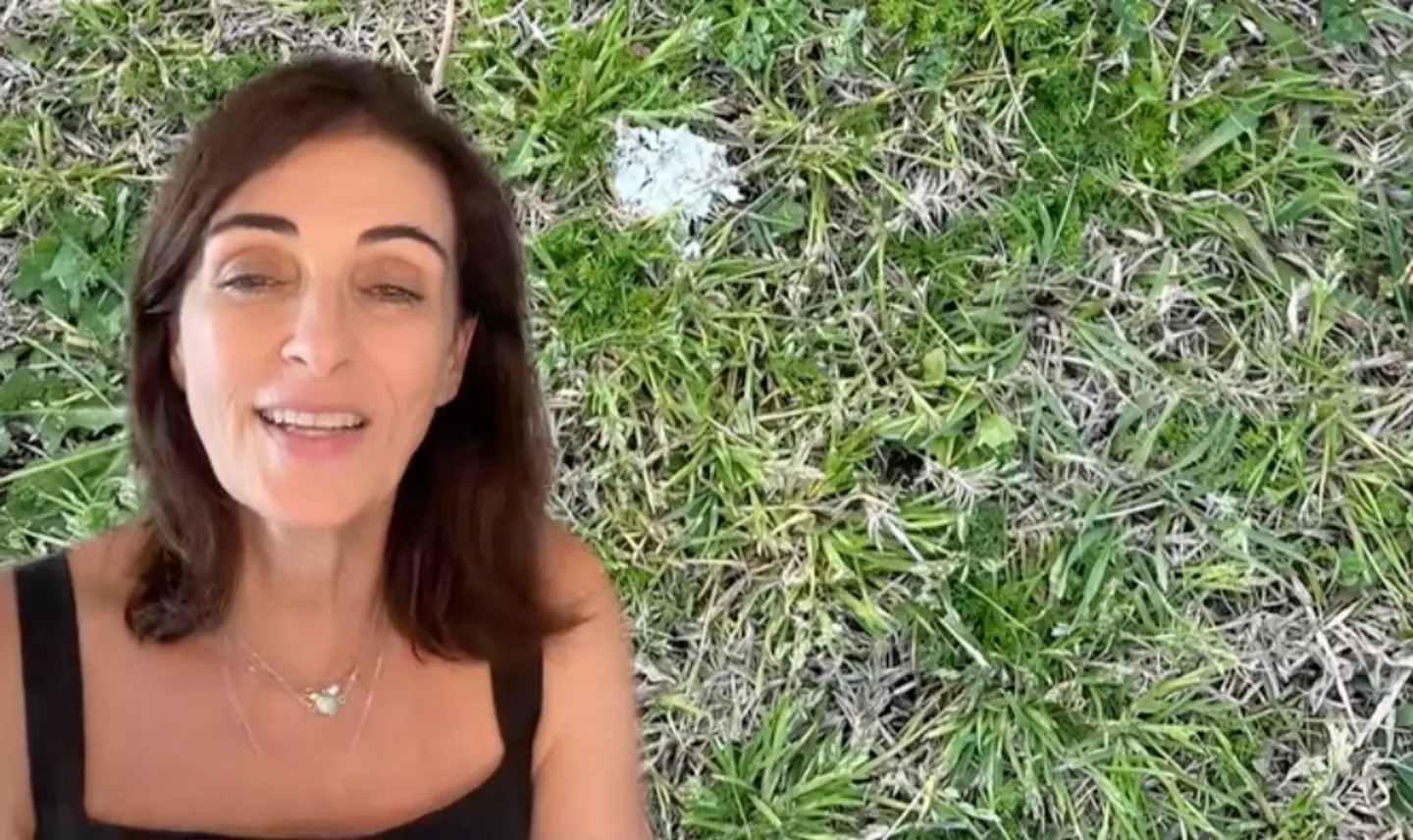 Dr Warren revealed it's down to changes in the average pooches diet and because humans are now more inclined to pick waste up (TikTok/@drkatrinawarren)