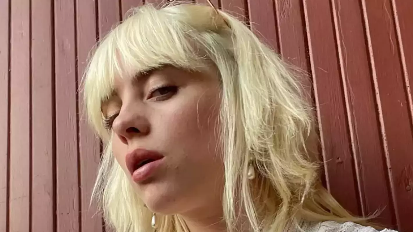 Billie Eilish responded after losing 100,000 followers in an hour from one post