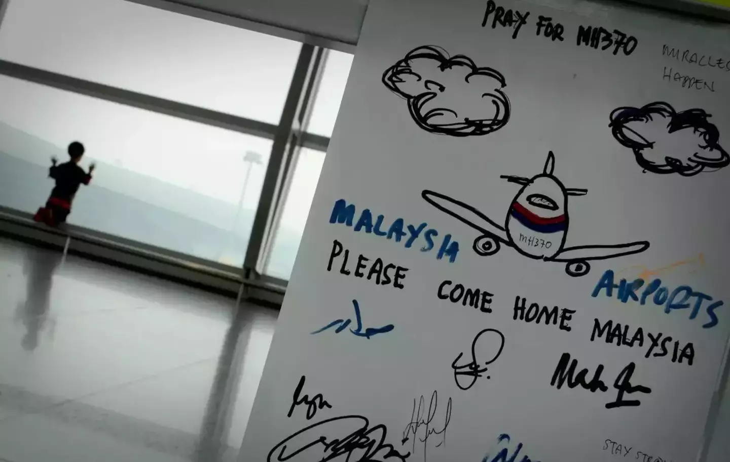 Flight MH370 went missing in 2014.