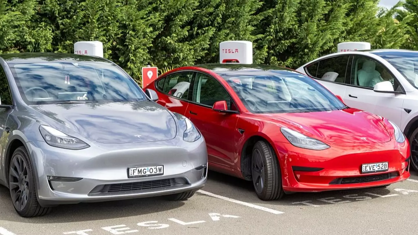 Woman accuses Tesla safety function of 'malfunctioning' and killing her dog