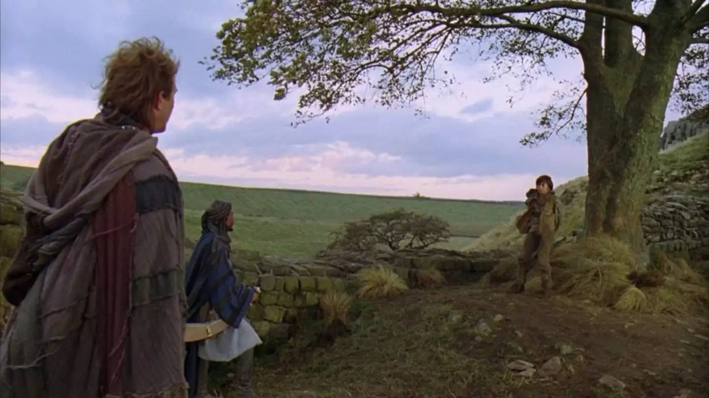 The tree featured in Hollywood blockbuster Robin Hood: Prince of Thieves.