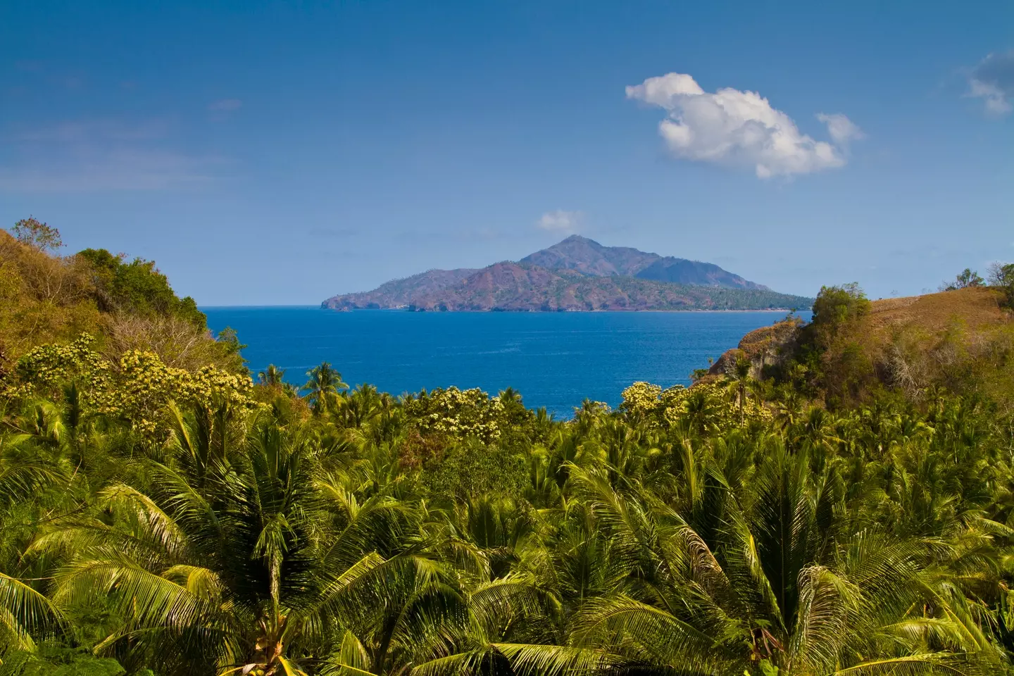 Anthropologist Professor Gregory Forth has lifted the lid on Indonesia's 10th largest island (Getty Stock Images)