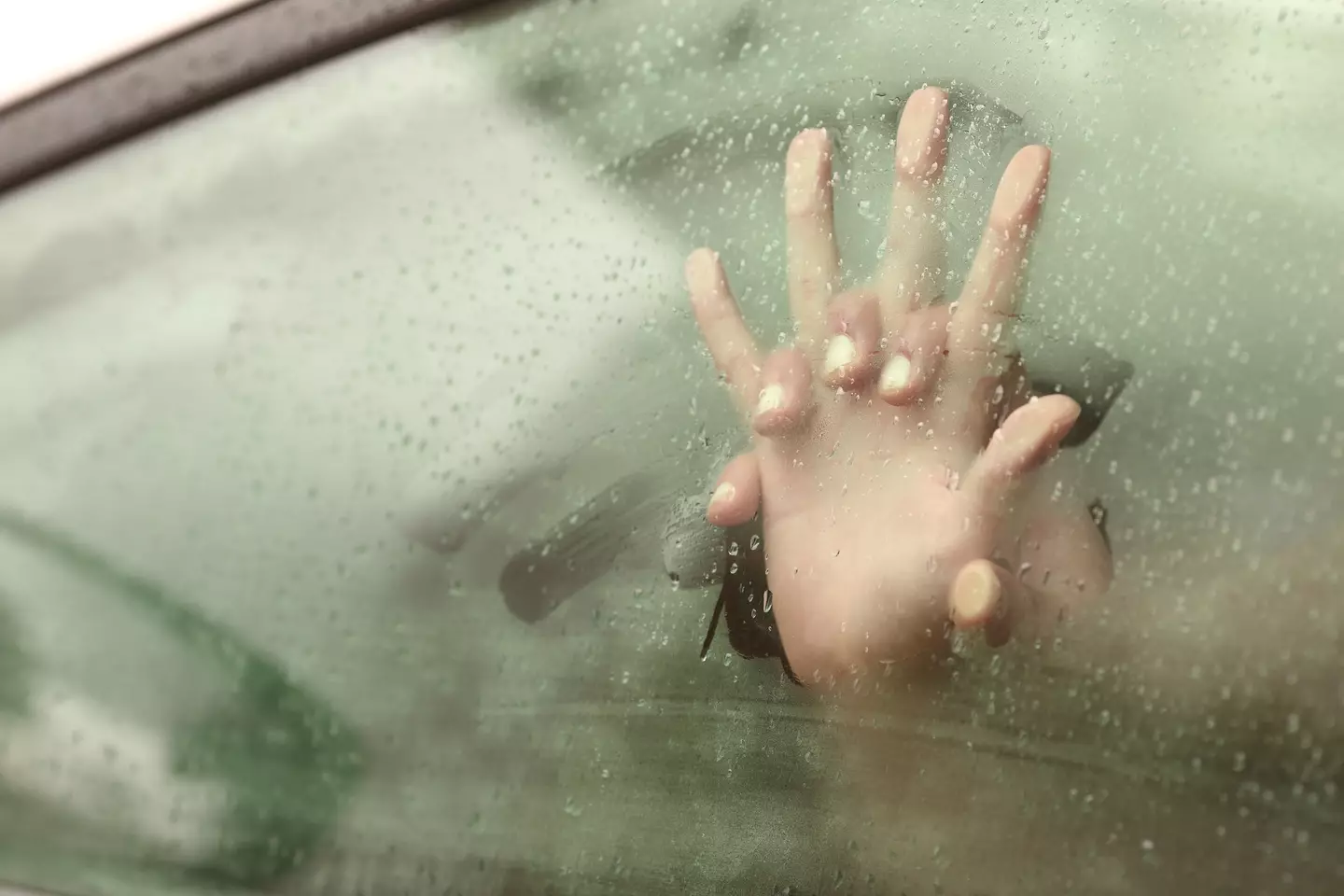'For the love of God, make sure the car is in park', Zane says (Getty Stock Images)