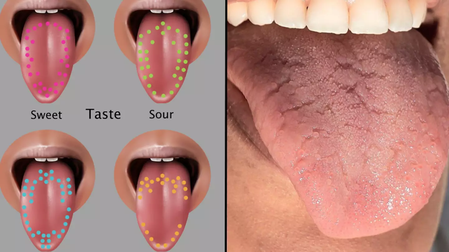 The tongue map you learned in school isn’t actually true