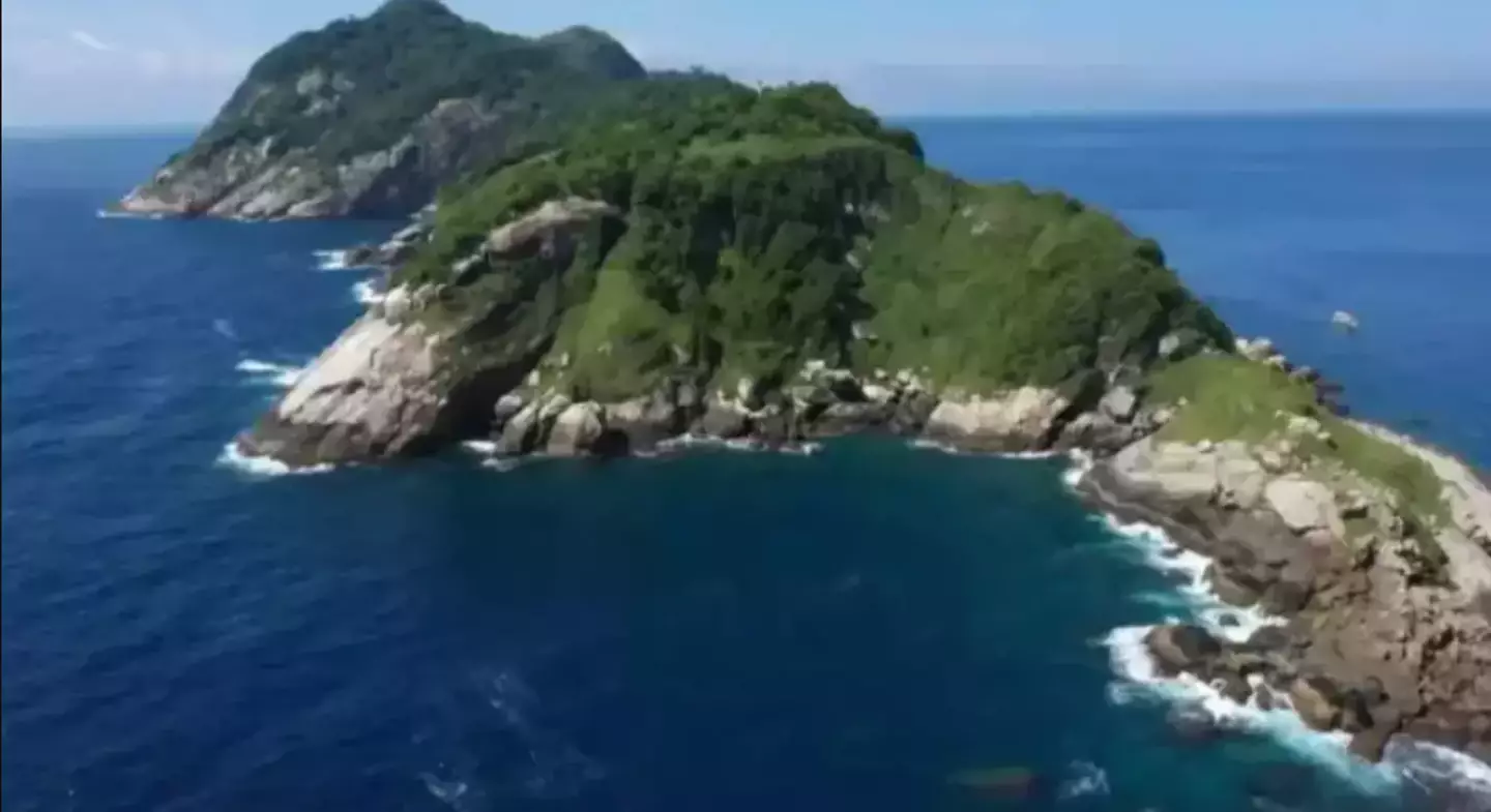 Holiday on Snake Island? Think I'm good, thanks (9 News)