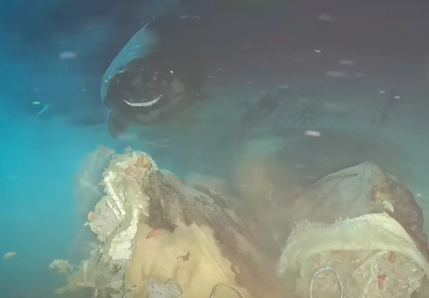 It's Bruce (Ocean-Land-Atmosphere Research)