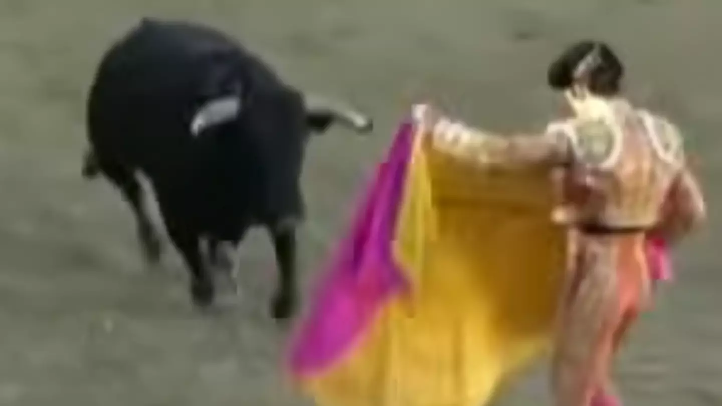 Tragic moment matador was gored to death by bull after tripping over his own cape was recorded on camera