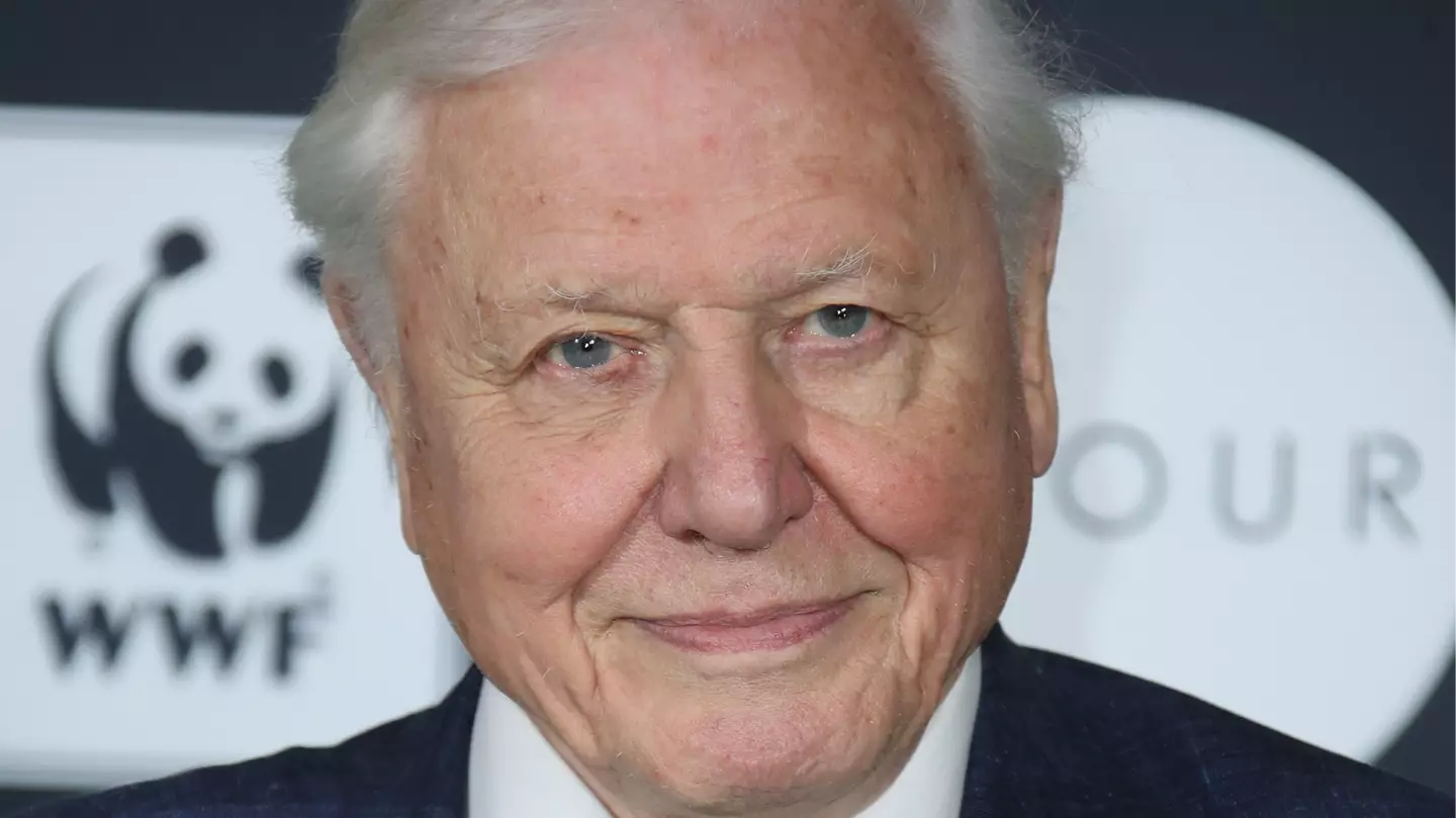 David Attenborough says one part of Earth can ‘save the world’ as he approaches ‘end of his life’