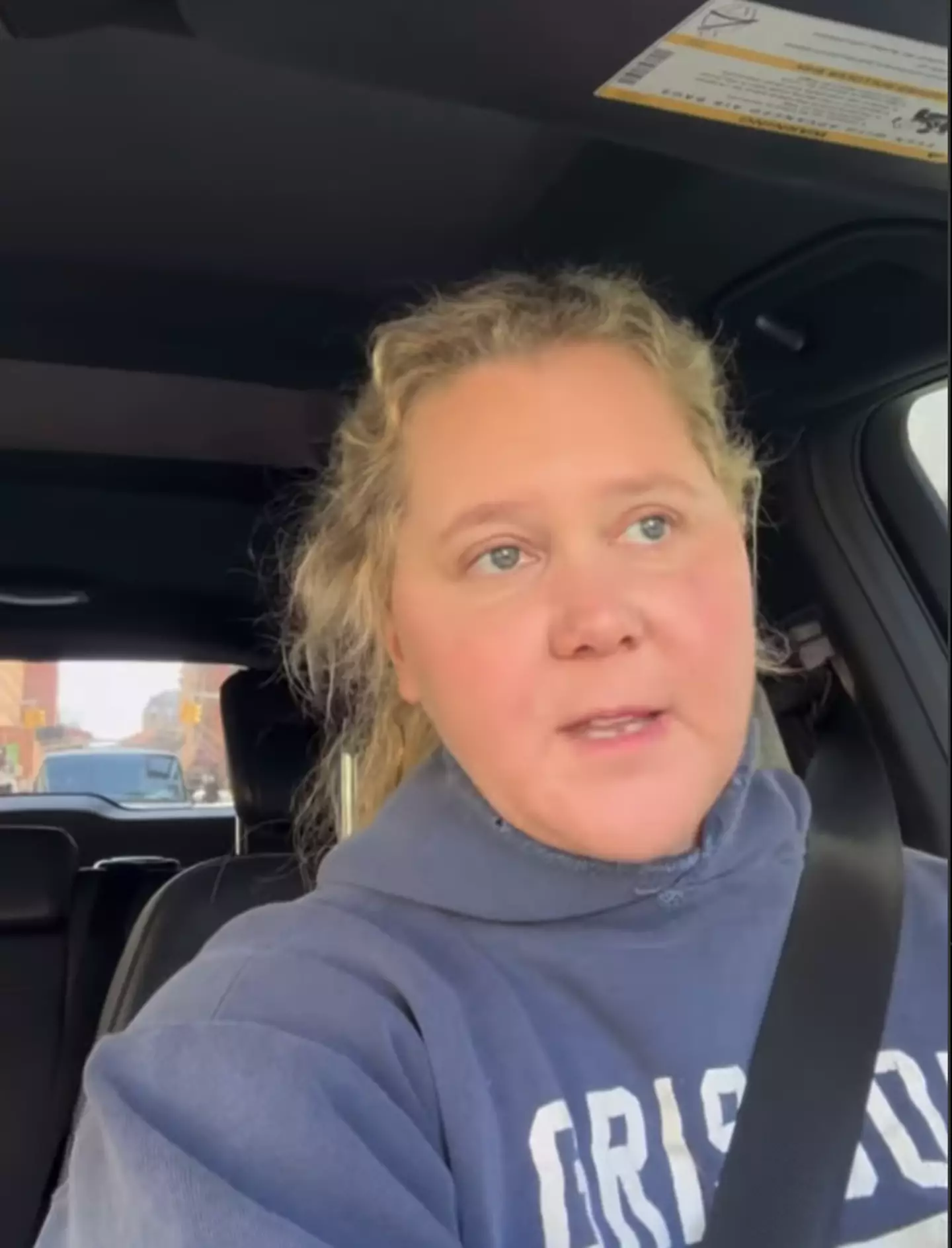 Schumer shared the update via social media (Instagram/Amy Schumer)