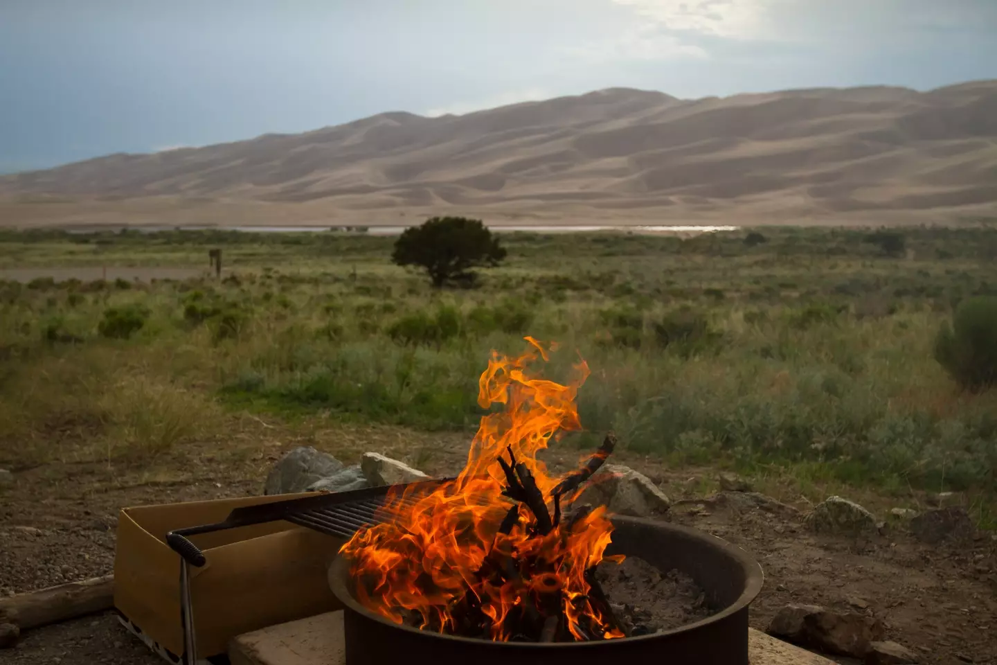 The bodies were found in Colorado, US.