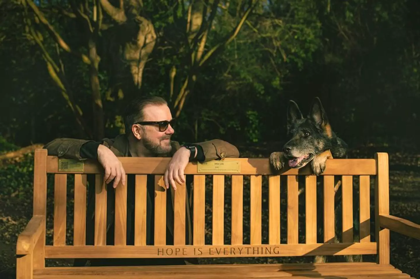 Netflix originally donated 25 benches in honour of the show.