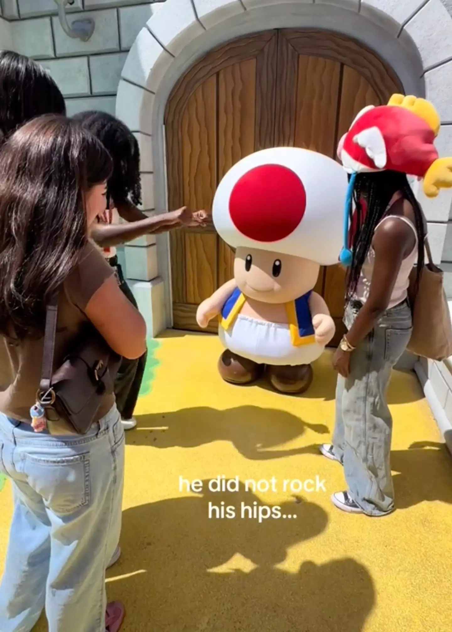 Lily and her pals tried to recruit Toad to take part in a TikTok trend (TikTok/@lilly_pea)