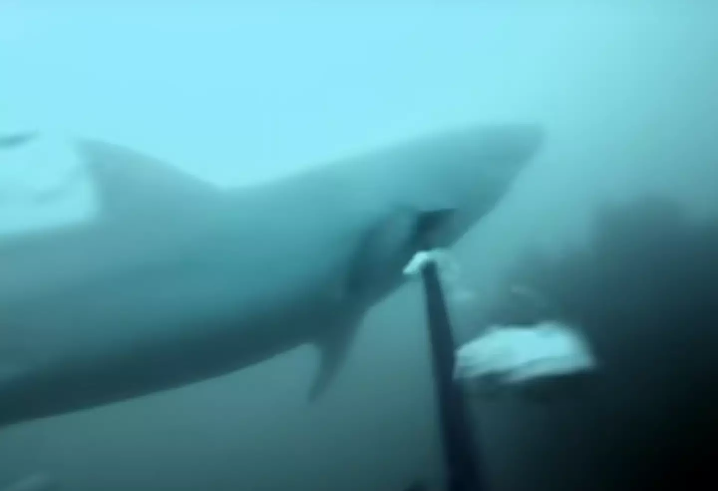 That's genuinely terrifying (YouTube/GoPro)