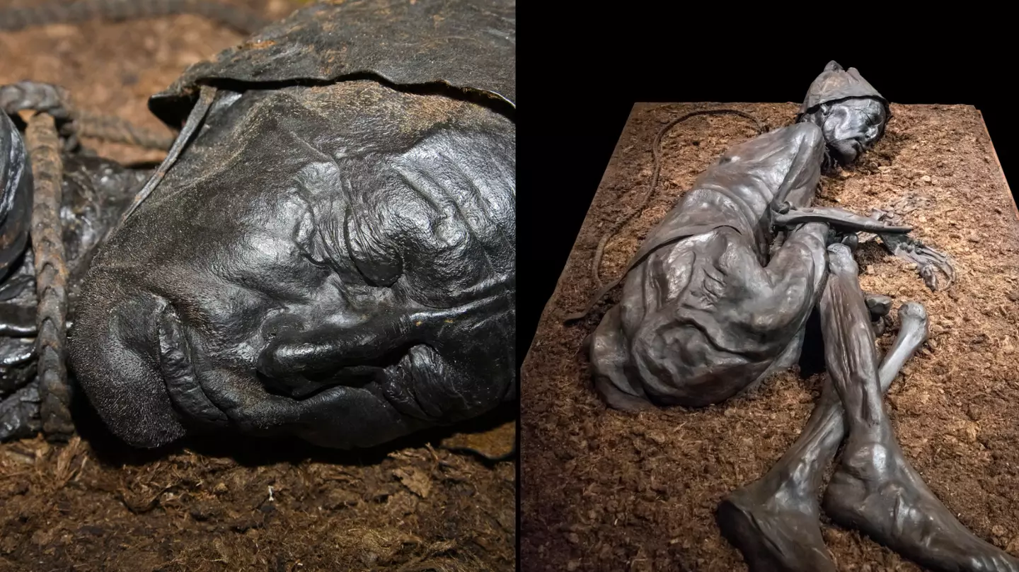 Tollund Man so well preserved guts reveal alarming last meal from 2,400 years ago