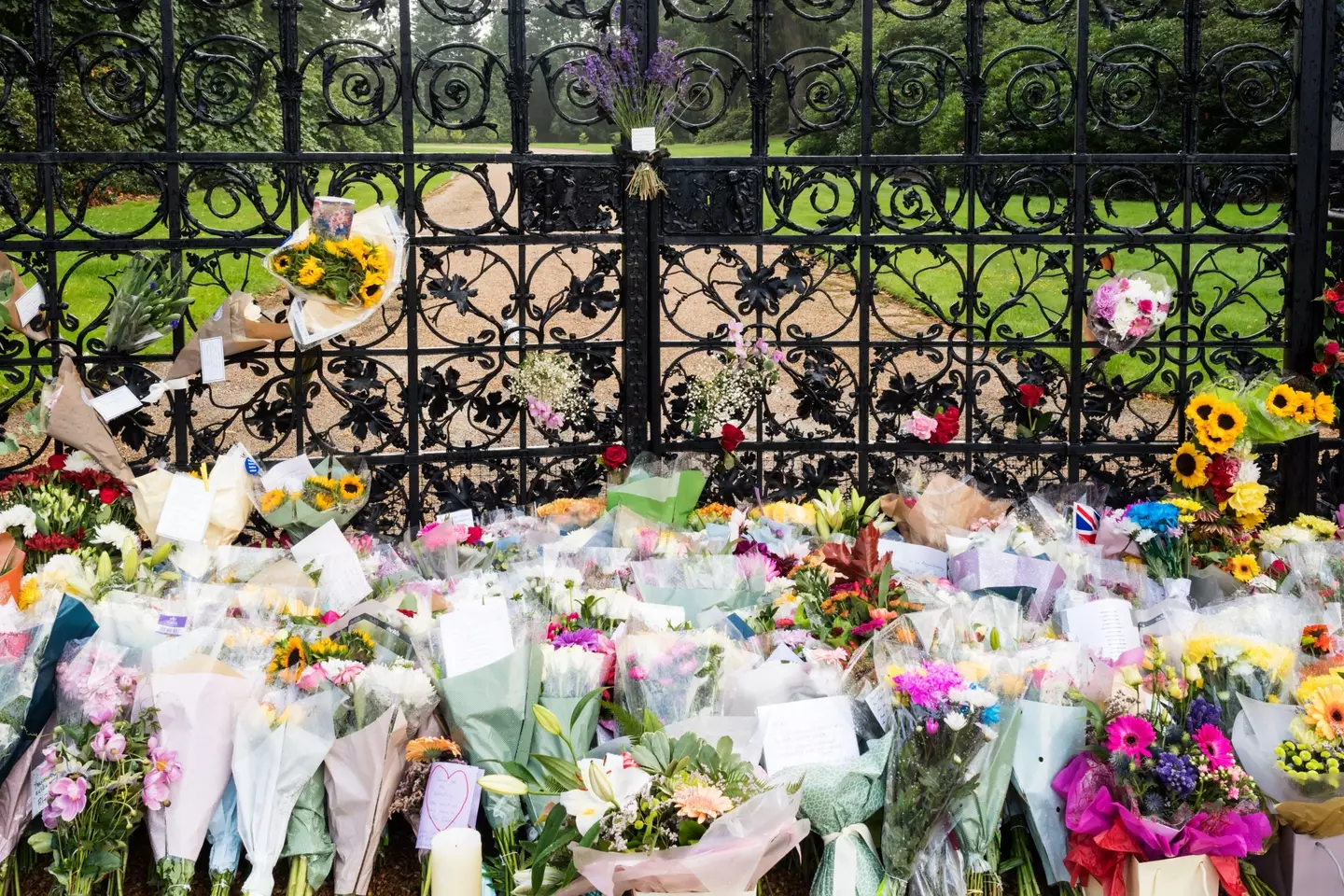 Tributes have poured in from around the world.