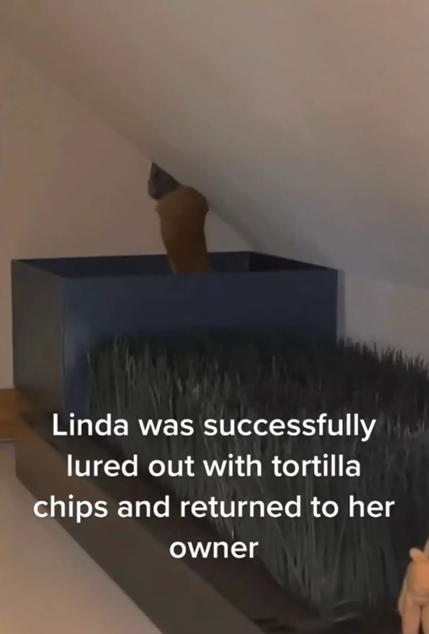 Linda made it back home safe and sound.