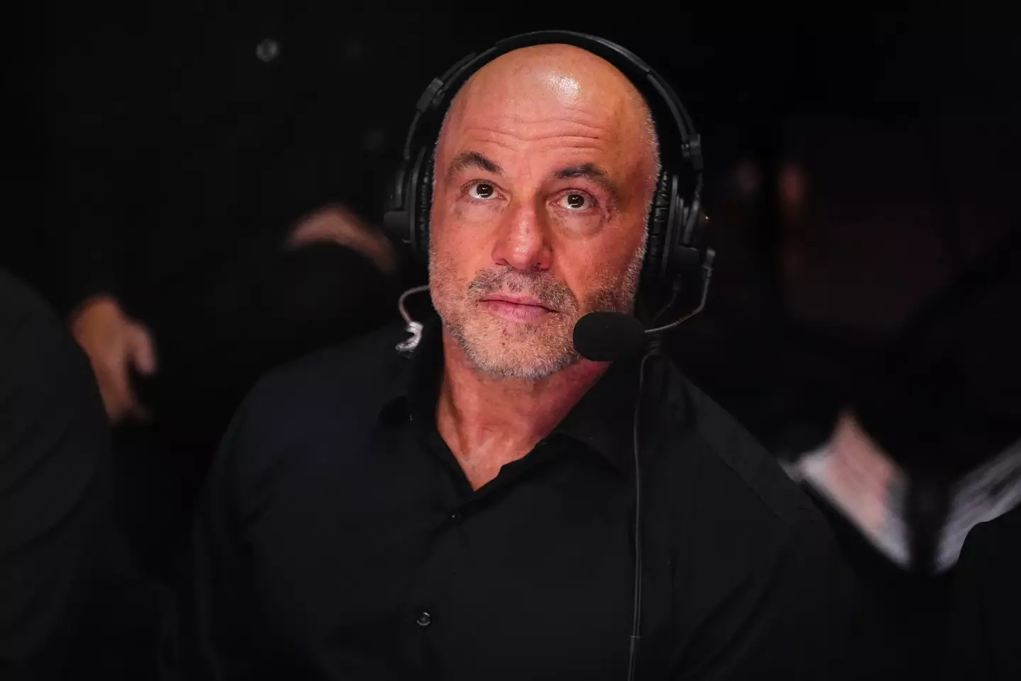 Joe Rogan ended up issuing a public apology. (Jeff Bottari/Zuffa LLC)