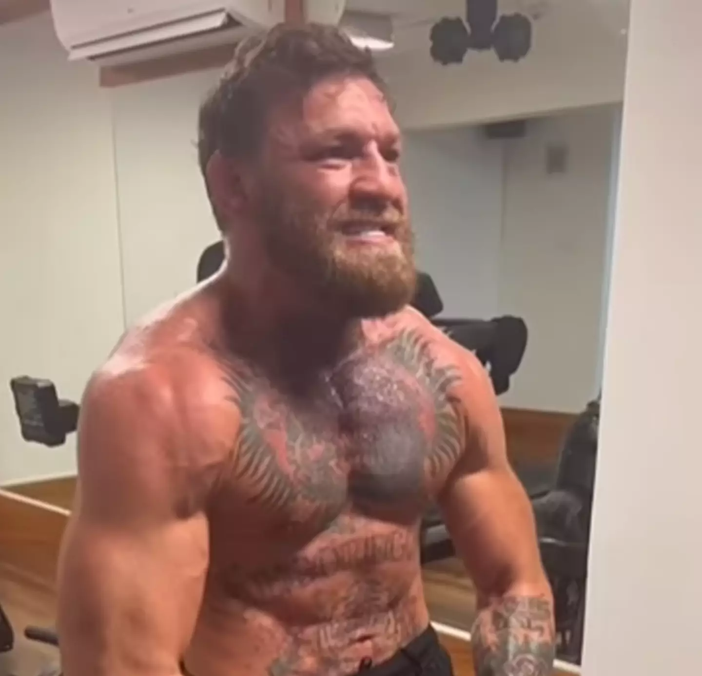 Conor McGregor responded to a commenter suggesting he is 'using' drugs.
